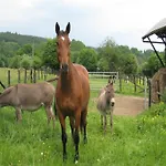 Charming In Ardennes Petit-Thier