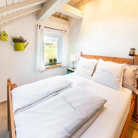 Cozy Child Friendly 16 Person Vacation With Sauna Petit-Thier
