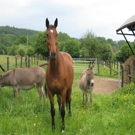 Charming In Ardennes Petit-Thier